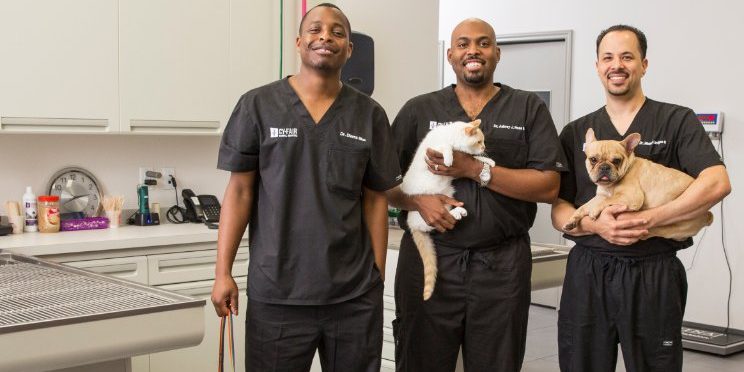 Vet Life Pictures