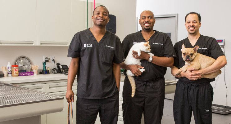 Vet Life Pictures